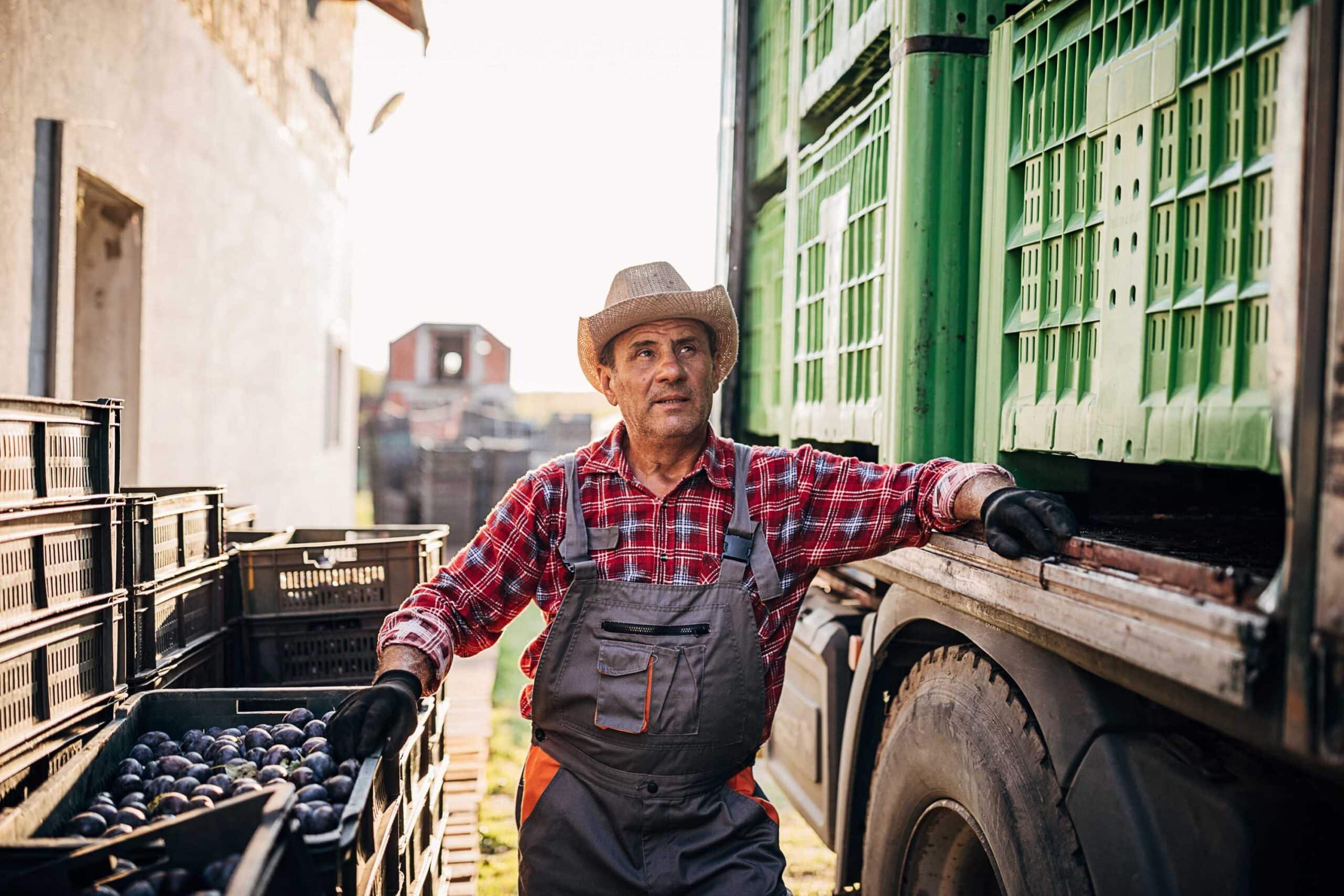 Entenda os desafios e a importância da logística no agronegócio brasileiro