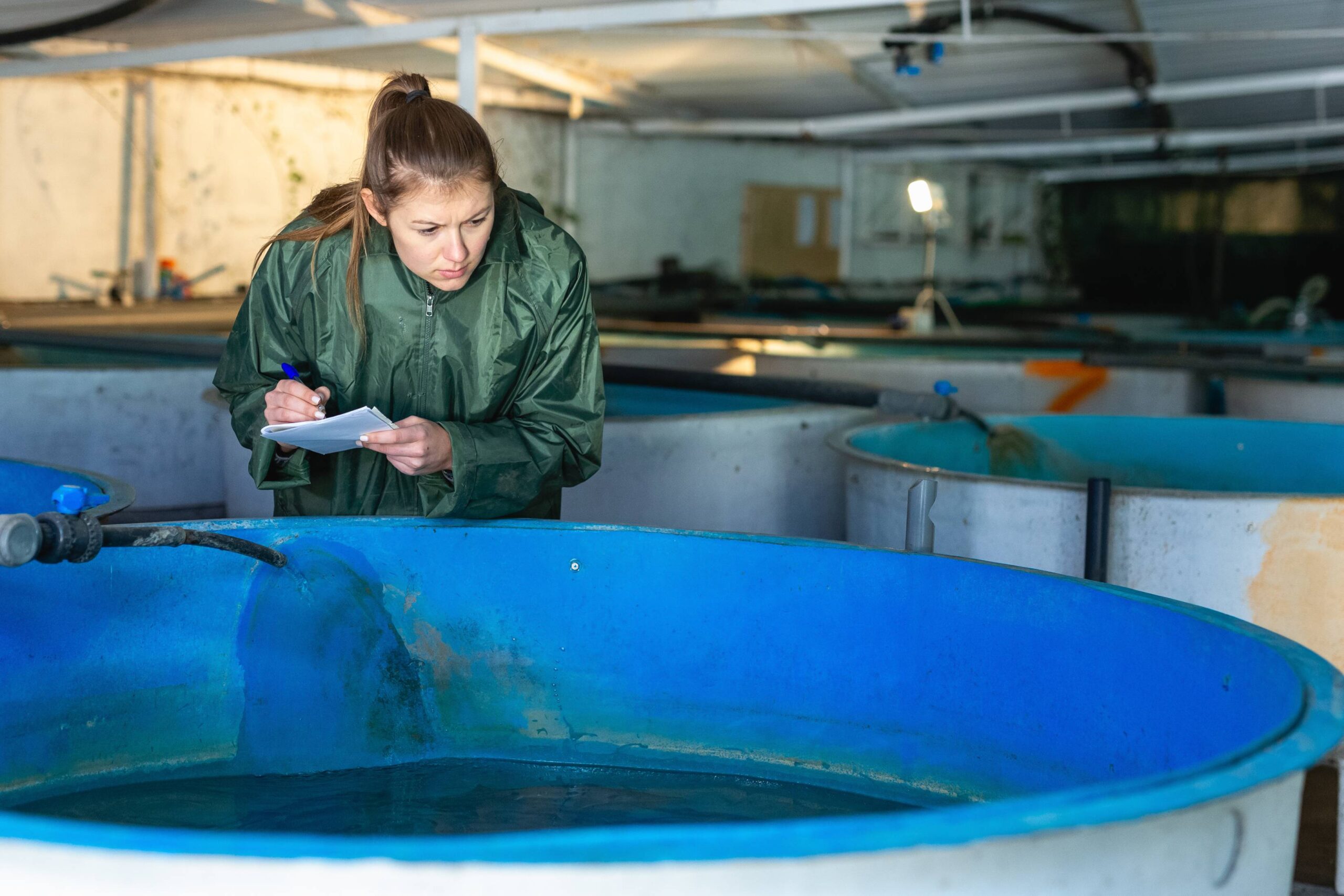 Entenda como a gestão sanitária na piscicultura pode otimizar sua produção