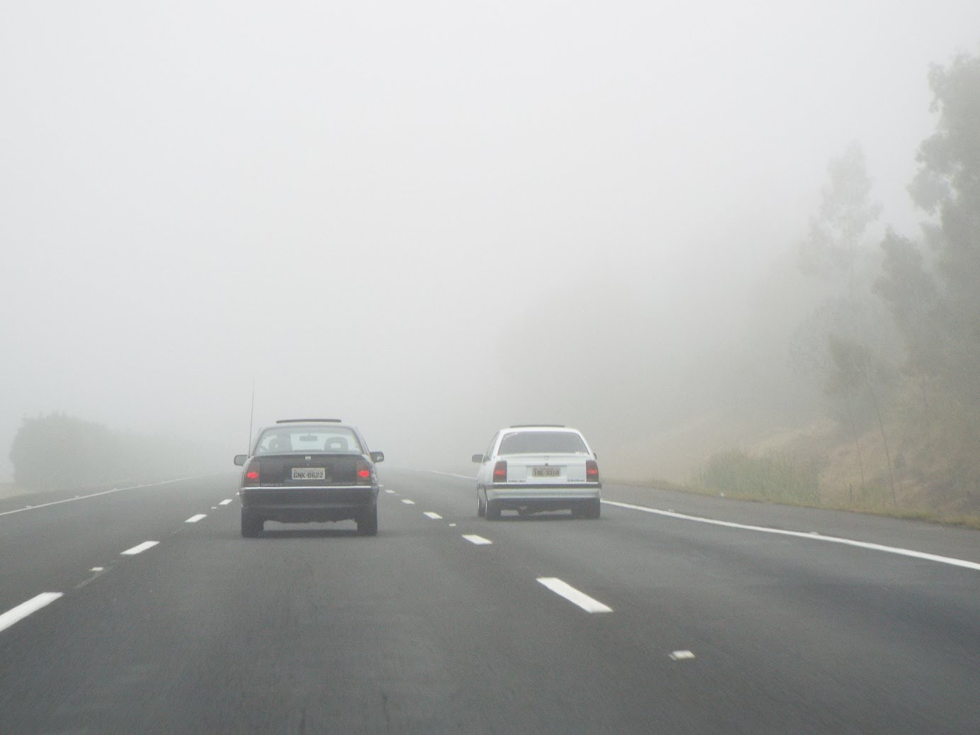 neblina-na-estrada-atencao