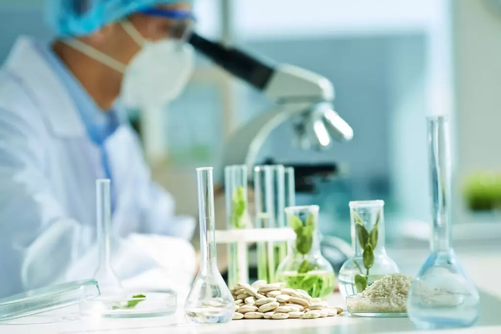 Biotecnologia Na Agricultura Veja Como Funciona E Seus Benefícios Blog Sansuy 1376