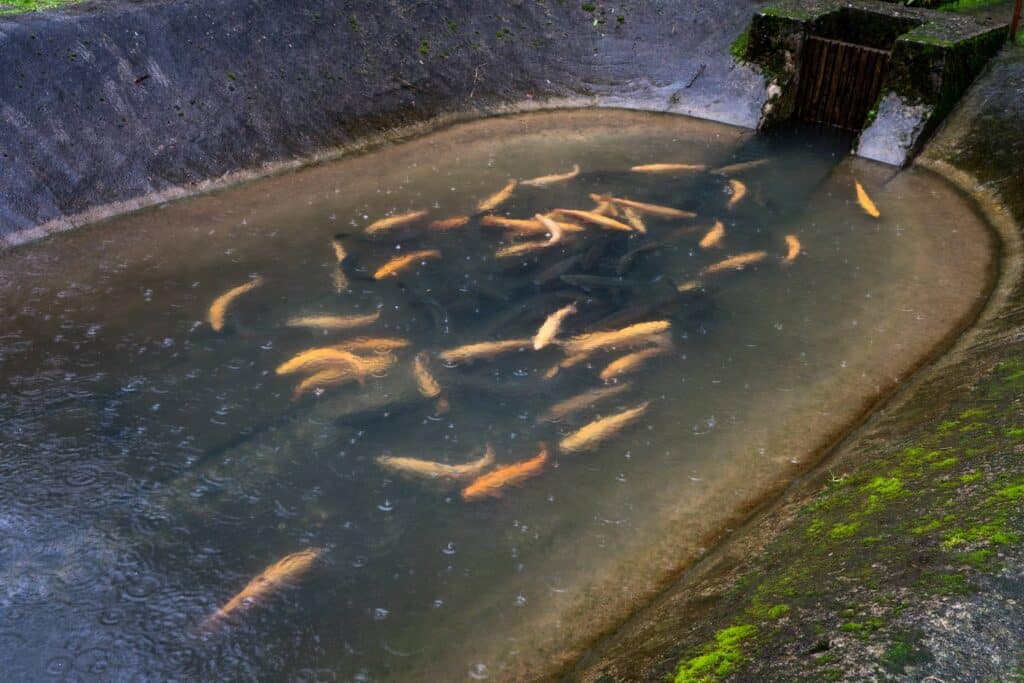 Imagem destaque