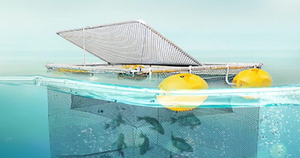 cultivo-de-peixes-em tanques- vinitanq