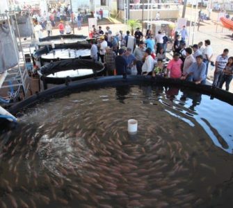 projeto de aquicultura