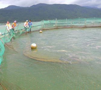 Legislação de aquicultura