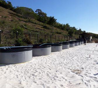 Tanques de piscicultura