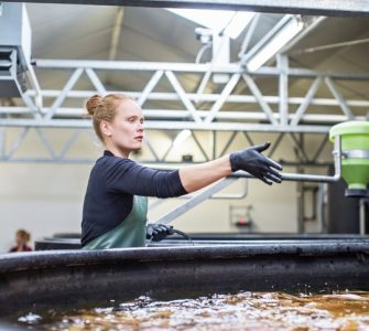acessórios para piscicultura
