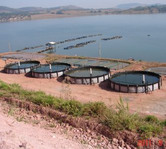 tanque circular de peixe