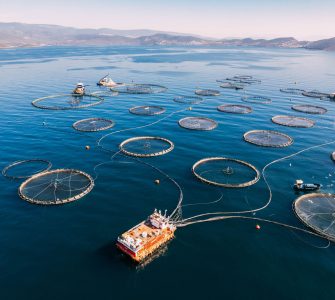 Aquicultura e meio ambiente: quais os impactos e como evitá-los?