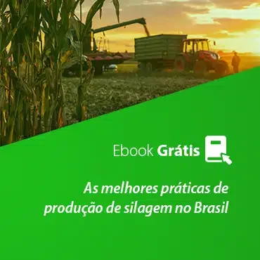 as melhores práticas de produção de silagem no Brasil