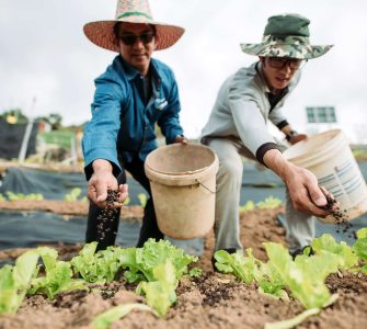 Bioinsumos na agricultura: entenda o que são e como aplicar!