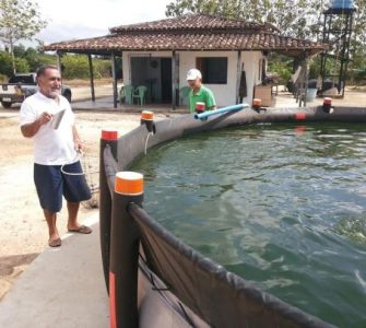 Criação de peixes