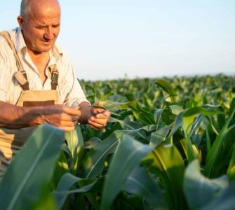 Dia do Trabalhador Rural: como as soluções Sansuy facilitam a rotina dos produtores