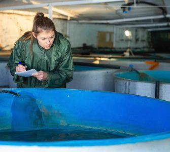 Entenda como a gestão sanitária na piscicultura pode otimizar sua produção