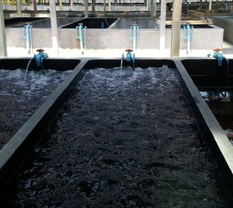 seguro aquícola