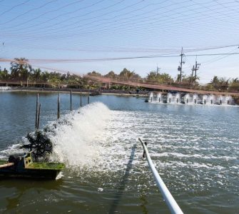Como oxigenar tanque de peixe