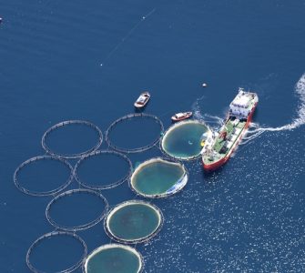 Aquicultura 4.0