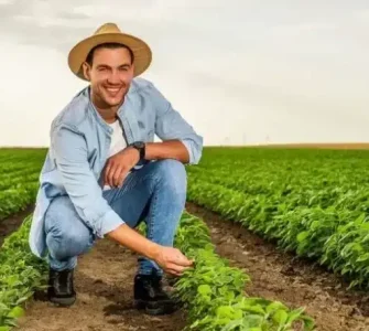 transição agroecológica