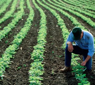 sequestro de carbono na agricultura