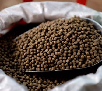 alimentação de peixe