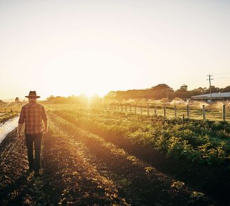 dia de agricultura