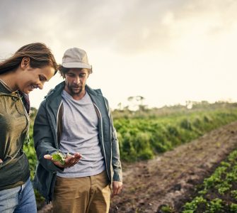 agricultura na preservação ambiental