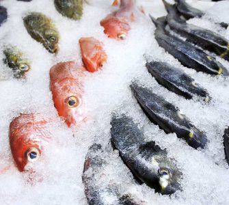 peixes