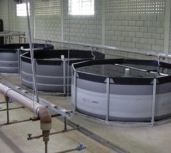 tanque para piscicultura