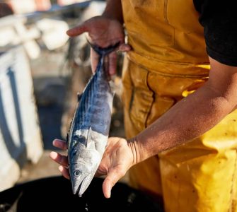 resíduos de pescado: pessoa manuseando peixe