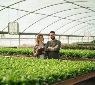 produtividade na agricultura