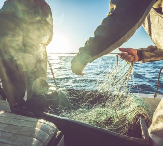 engenharia de aquicultura e pesca