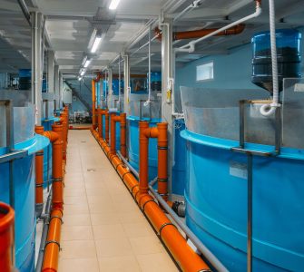 alimentador automático para peixes