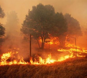 secas e incêndio florestal