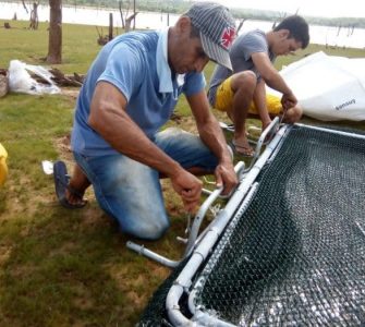 tanque de peixes
