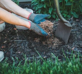 técnica de mulching