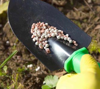 tipos de adubação: pessoa adubando terra com uma pequena pá