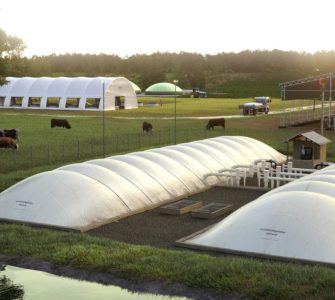 Transição Energética: PATEN e o futuro sustentável do agro