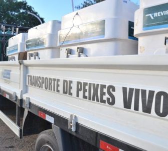 transportes de cargas vivas