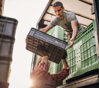 transporte de frutas