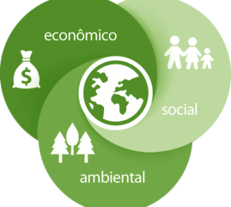 piscicultura intensiva e sustentável