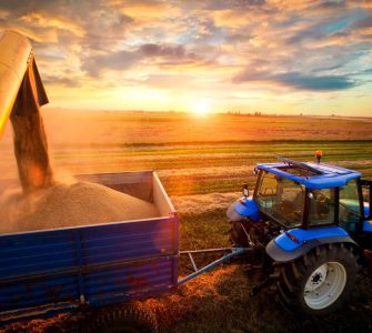 valor bruto da produção agropecuária