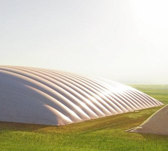 7 tipos de biomassa