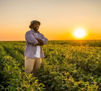 Saiba o que é e qual a função do zoneamento agrícola de risco climático